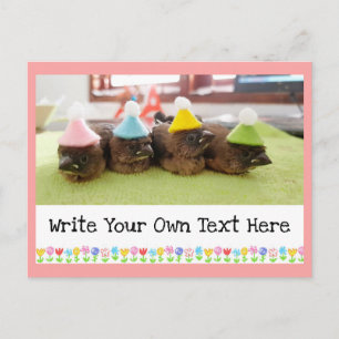 Carte Postale Texte personnalisable Joli bébé oiseau Pinson Pins