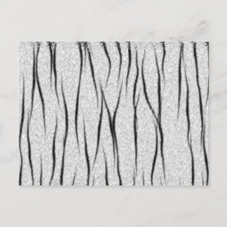 Carte Postale texture blanche du tigre