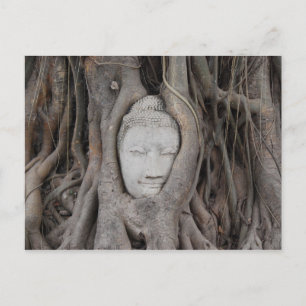Carte Postale Thaïlande Chef de Bouddha entouré d'arbres
