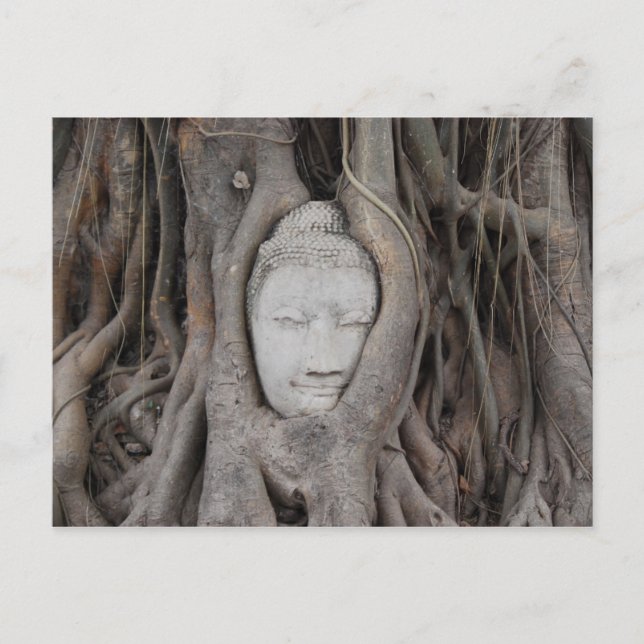 Carte Postale Thaïlande Chef de Bouddha entouré d'arbres (Devant)