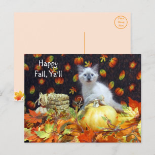 Carte Postale Thanksgiving de Savannah Siamese