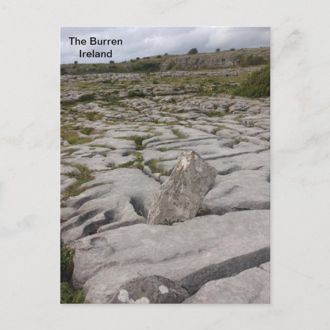 Carte Postale The Burren, Co. Clare, Irlande. (Devant)