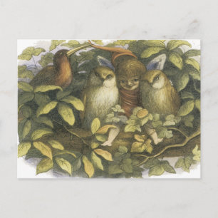 Carte Postale The Fairyland, 1870 Fairy With Owls
