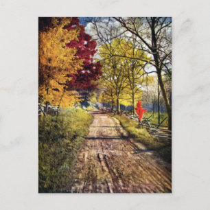 Carte Postale The Glory of Autumn Trees