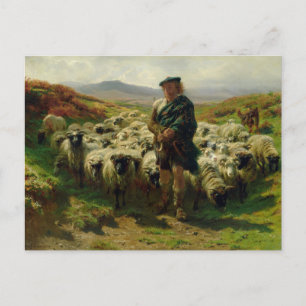 Carte Postale The Highland Shepherd par Rosa Bonheur Postcard