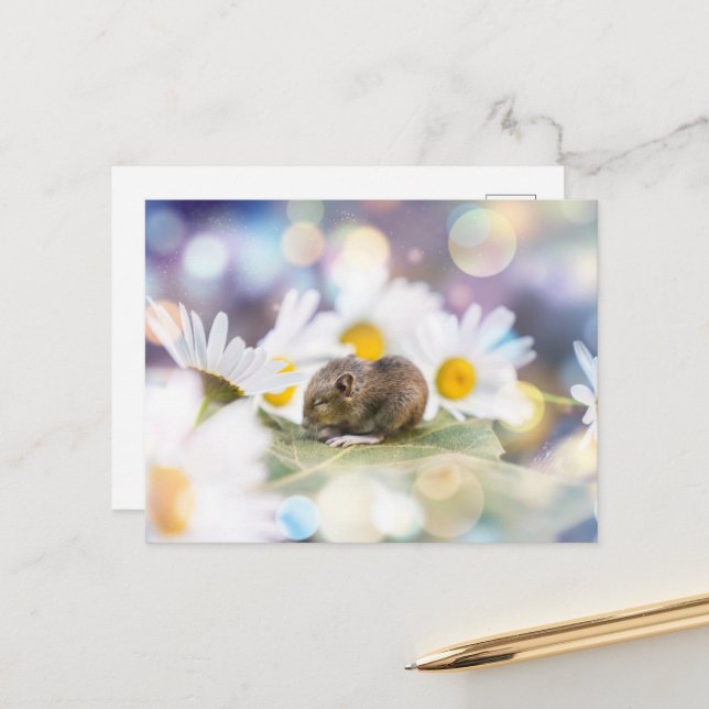 Carte Postale The Little Things (Devant/Arrière en situation)