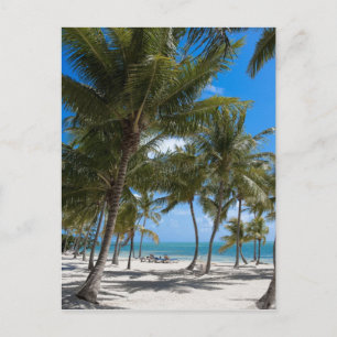 Carte Postale The Moorings Resort, Marathon, Key West,
