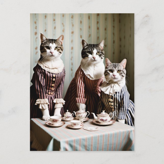Carte Postale Thé Party pour chats (Devant)