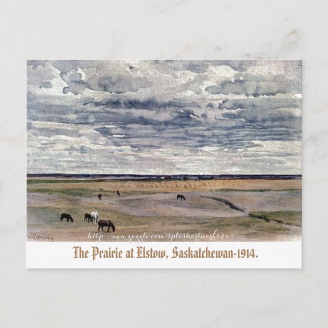 Carte Postale "The Prairie at Elstow, Saskatchewan-1914" (Devant)