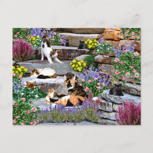 Carte postale "The Rock Garden" (Devant)