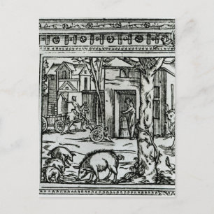 Carte Postale Théâtre d'Agriculture et Mesnage des Champs'