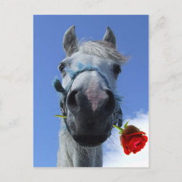 Carte Postale thème de l'amour cheval et rose