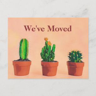 Carte Postale Thème Sud-Ouest Moving Faire-part Potonnés Plantes