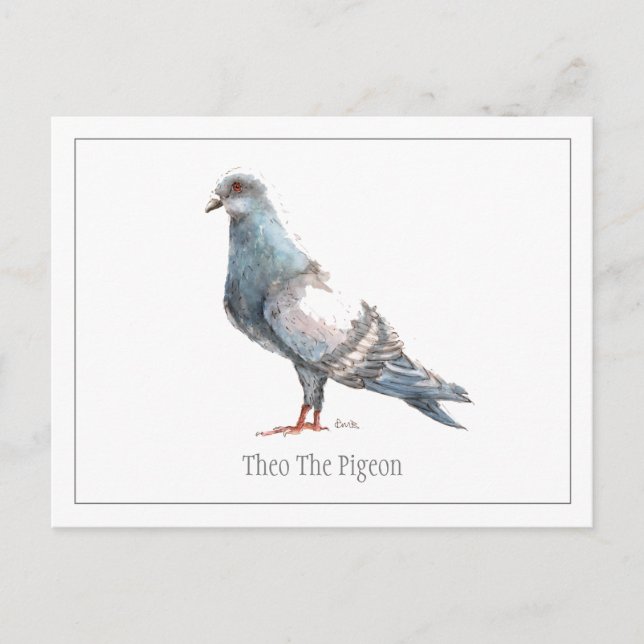 Carte postale 'Theo The Pigeon' (Devant)
