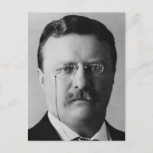 Carte Postale Theodore Roosevelt