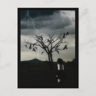 Carte Postale Théorie du chaos