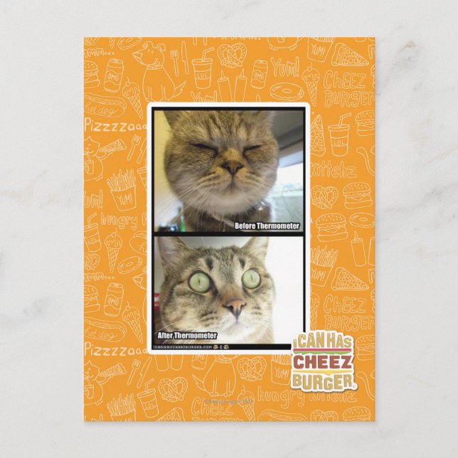 Carte Postale Thermomètre (Devant)