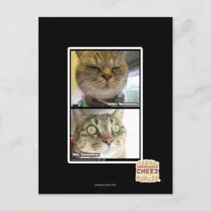 Carte Postale Thermomètre