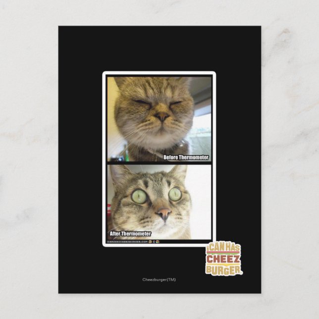 Carte Postale Thermomètre (Devant)