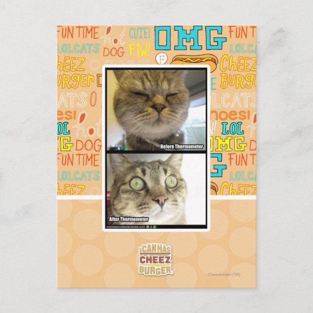 Carte Postale Thermomètre (Devant)