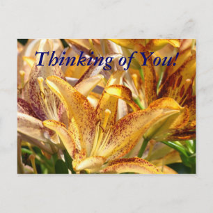 Carte postale Thinking of You ! fleurs de lys oran
