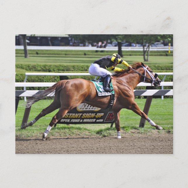 Carte Postale Thoroughbred racing at Historic Saratoga Racetrack (Devant)