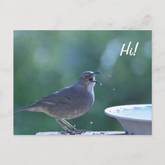 Carte postale Thrasher Splasher