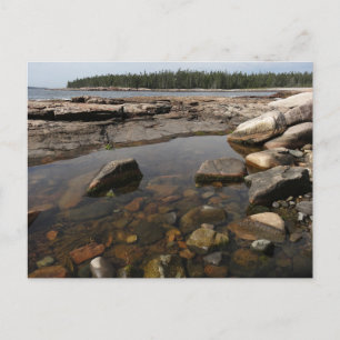 Carte Postale Tidepool au pays des merveilles dans le parc natio