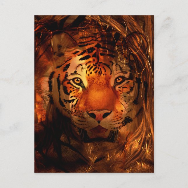 Carte Postale Tiger (Devant)