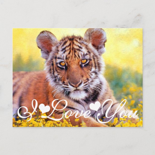 Carte Postale Tiger Baby Cub Je T'Aime (Devant)