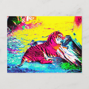 Carte Postale Tiger brillant
