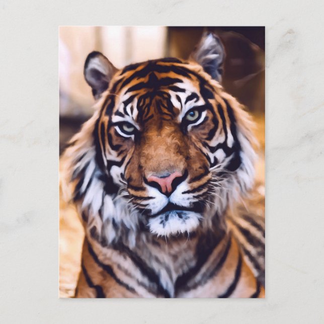 Carte Postale Tiger Chat Gros plan Faune Peinte (Devant)