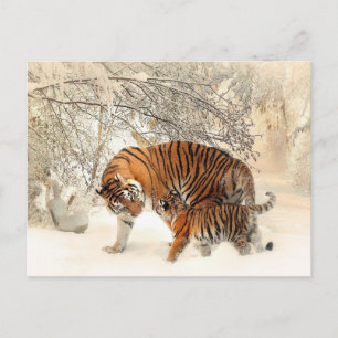 Carte postale Tiger Family en paysage hivernal