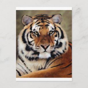 Carte Postale Tiger par Psyco