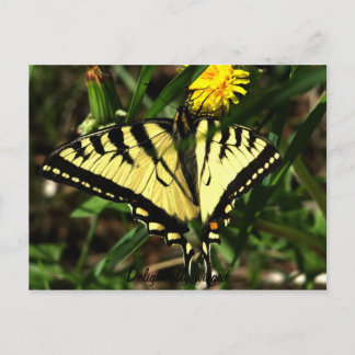 Carte Postale Tiger Swallowtail à ailes délicieuses
