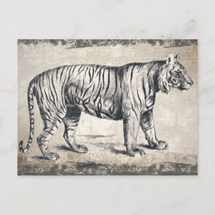 Carte Postale Tiger Vintage Wildlife Grunge décoratif