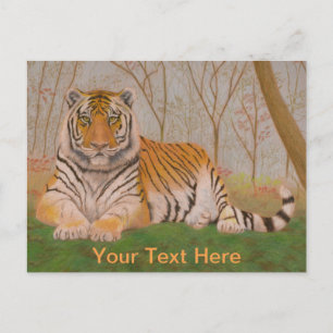 Carte Postale Tigre