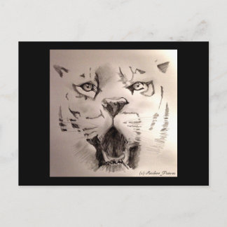 Carte Postale Tigre