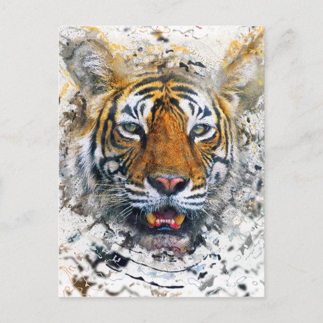 Carte Postale Tigre (Devant)