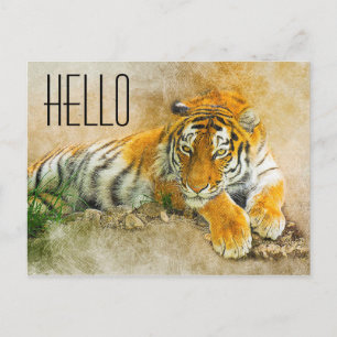 Carte Postale Tigre