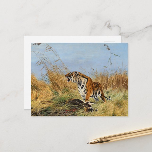 Carte Postale Tigre avec Waterbuck tué par Richard Friese (Devant/Arrière en situation)