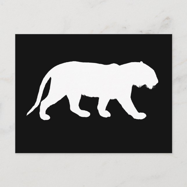 Carte Postale Tigre blanc (Devant)