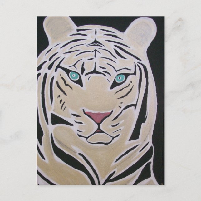 CARTE POSTALE TIGRE BLANC 2 (Devant)