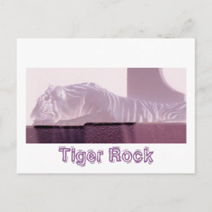 Carte Postale Tigre d'Albino