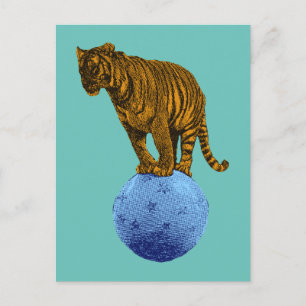 Carte Postale Tigre de cirque ancien