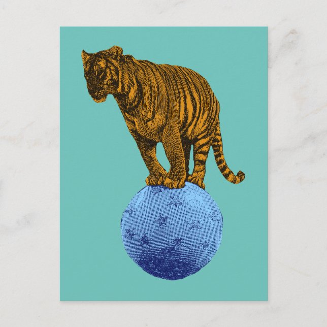 Carte Postale Tigre de cirque ancien (Devant)
