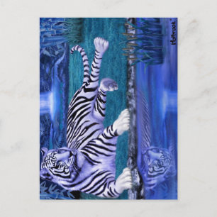 CARTE POSTALE TIGRE DE LA JUNGLE.JPEG