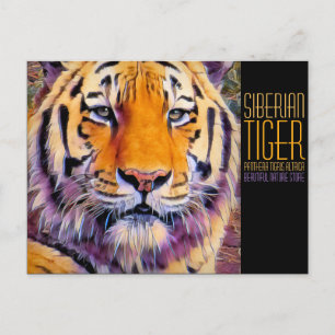 Carte Postale Tigre de Sibérie [Carte postale]