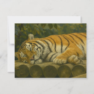 Carte Postale Tigre dormant sur les billes en bois
