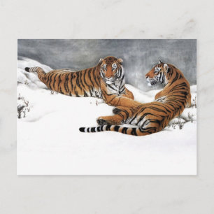 Carte Postale Tigres dans la neige, Art Chinois Classique